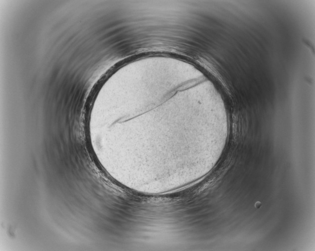 X0000102011068200808151246