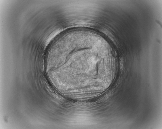 X0000102011069200808151246