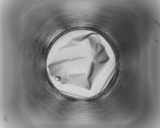 X0000102011073200808151246