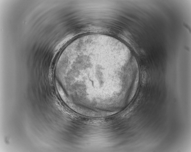 X0000102011074200808151246