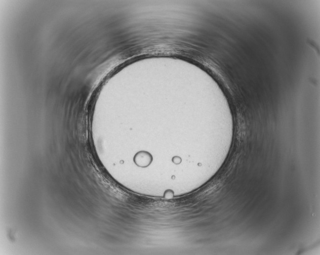 X0000102011075200808151246