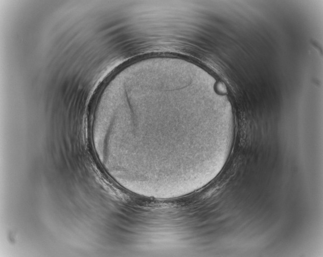 X0000102011076200808151246