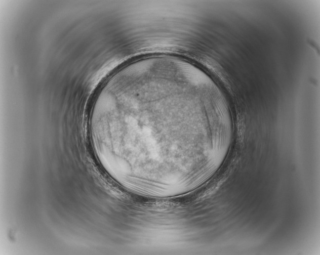 X0000102011077200808151246