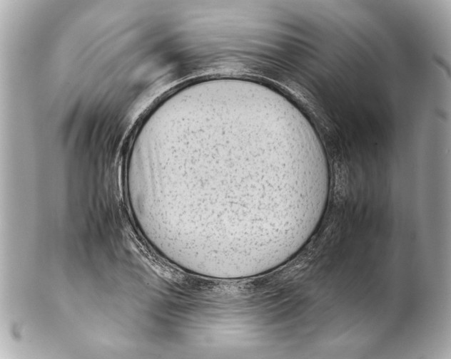 X0000102011078200808151246