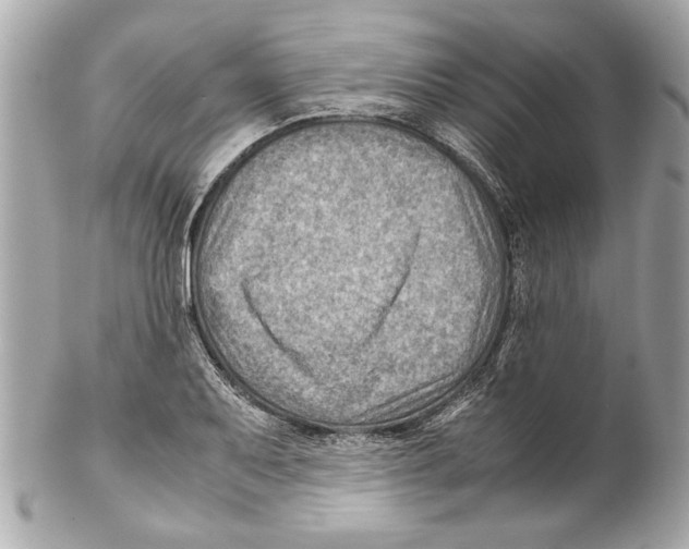 X0000102011079200808151246