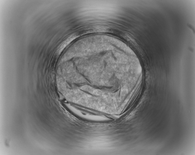 X0000102011081200808151246