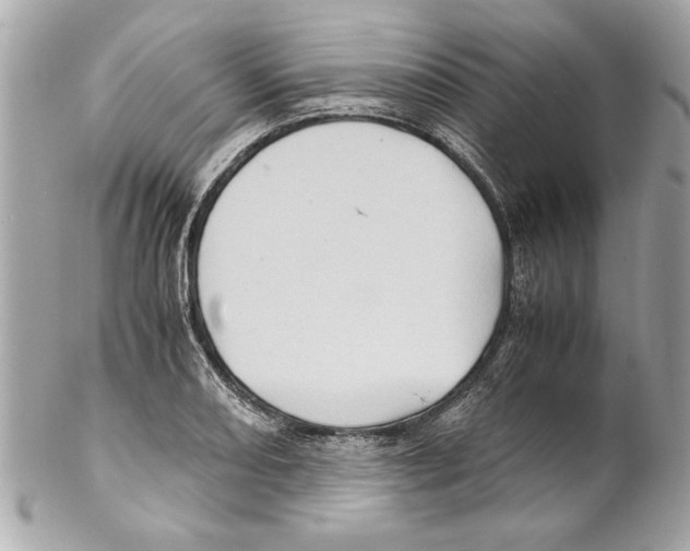 X0000102011082200808151246