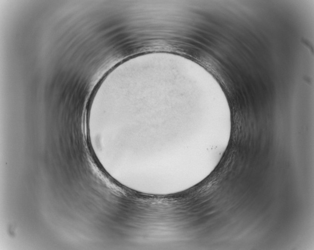 X0000102011084200808151246