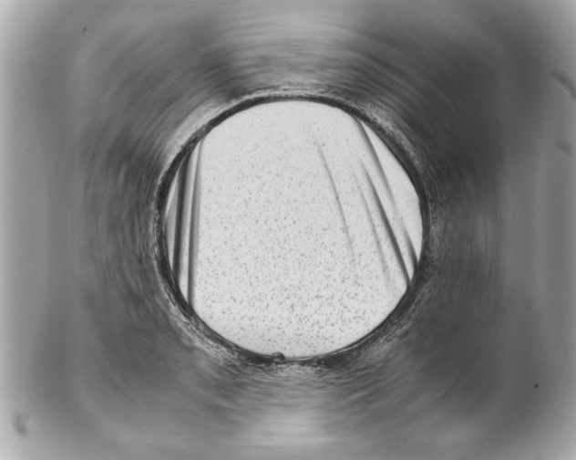 X0000102011085200808151246