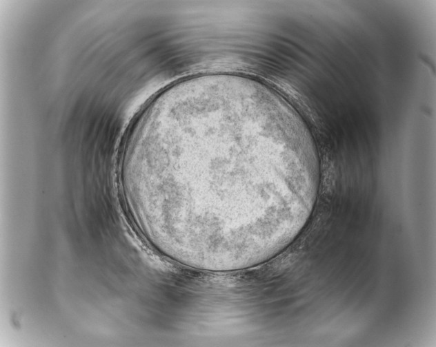 X0000102011086200808151246