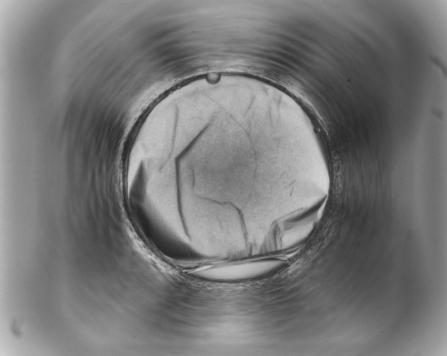 X0000102011088200808151246