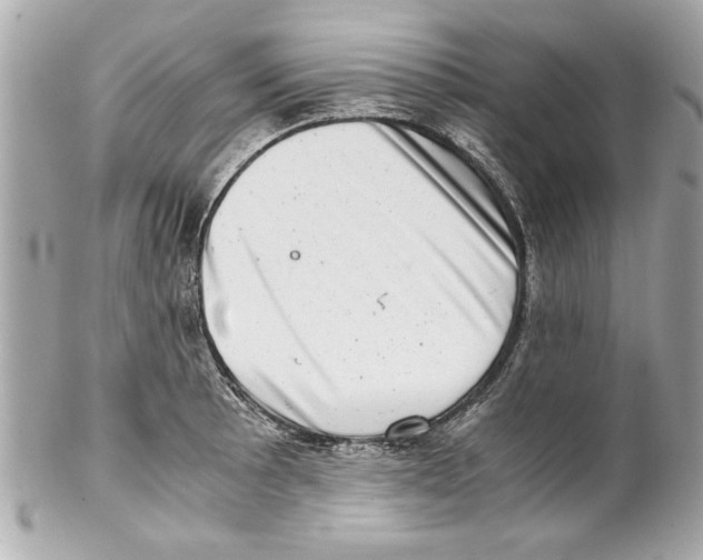 X0000102011089200808151246