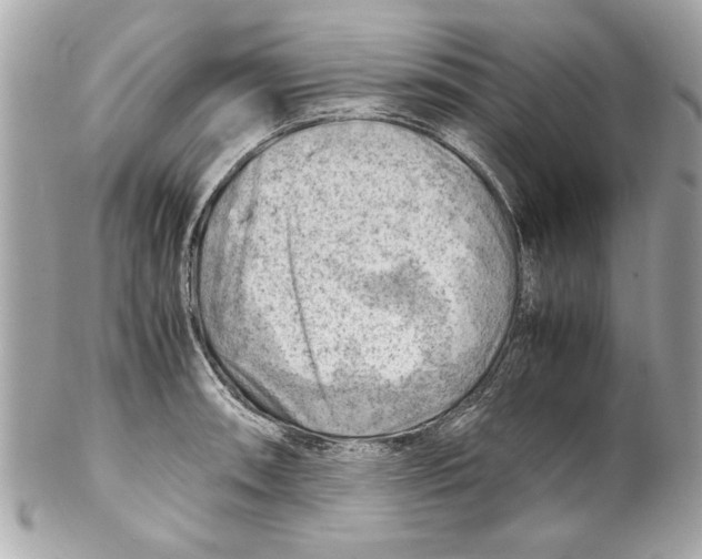 X0000102011090200808151246