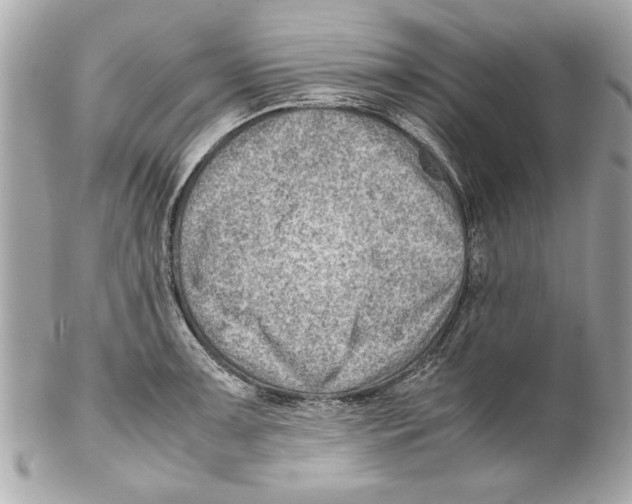 X0000102011091200808151246