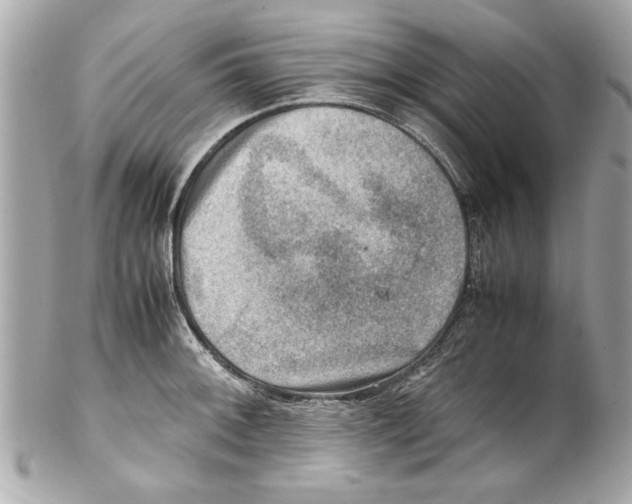 X0000102011092200808151246