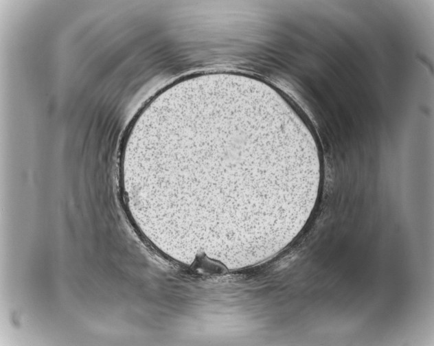 X0000102011093200808151246