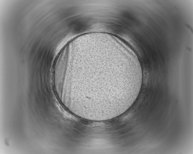 X0000102011094200808151246