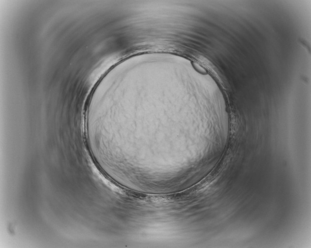 X0000102011095200808151246