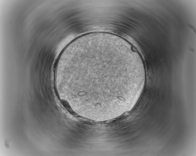 X0000102011096200808151246