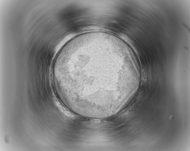 X0000102011098200808151246