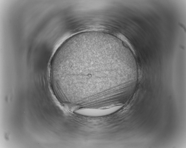 X0000102011099200808151246