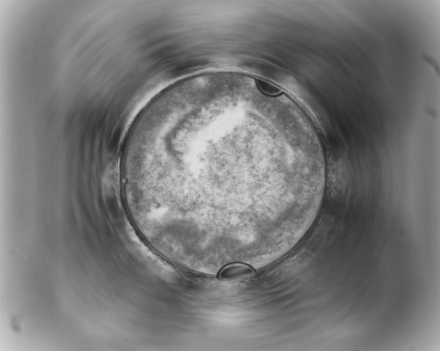 X0000102011100200808151246