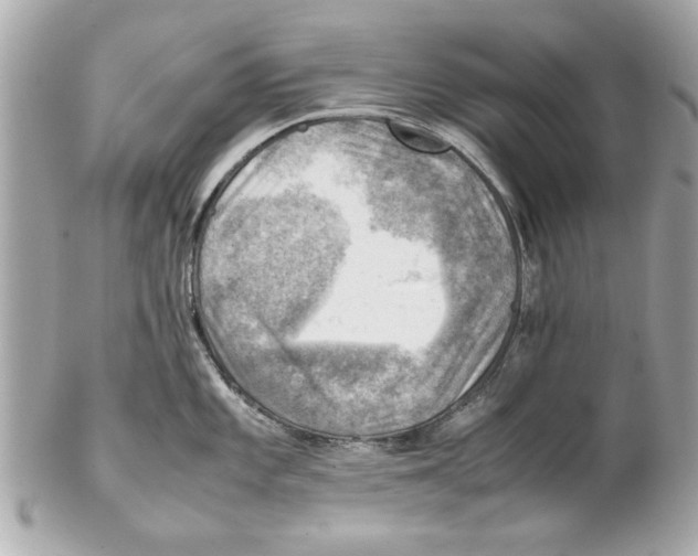 X0000102011101200808151246