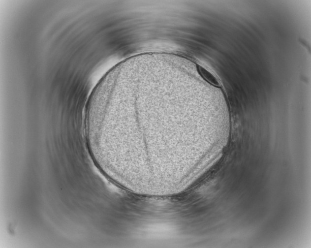 X0000102011103200808151246