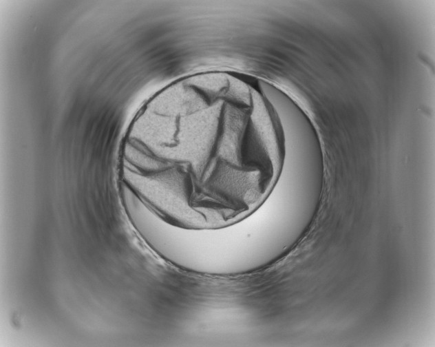 X0000102011104200808151246