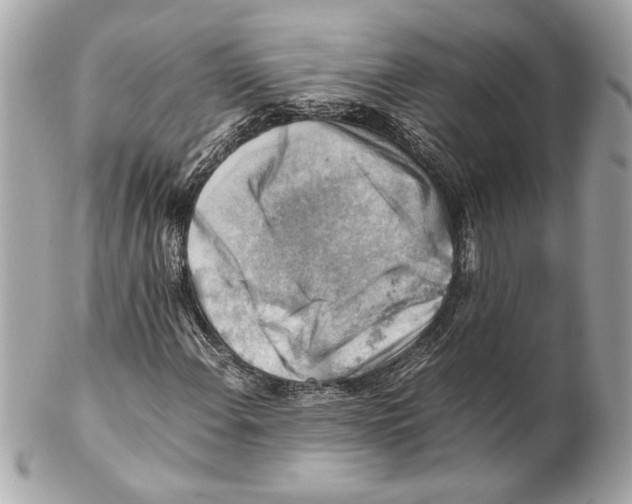 X0000102011108200808151245