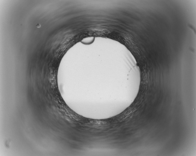 X0000102011109200808151245