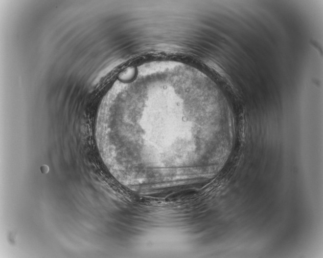 X0000102011112200808151245