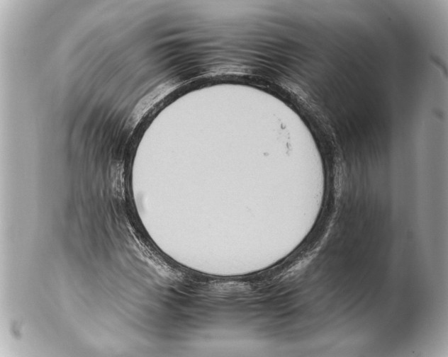 X0000102011113200808151245