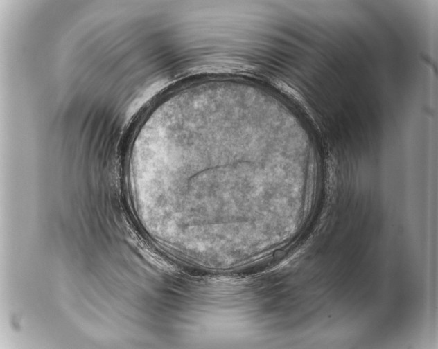 X0000102011114200808151245