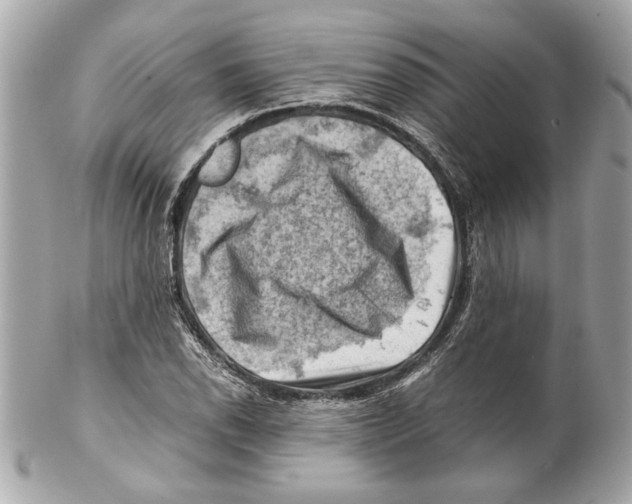 X0000102011118200808151245