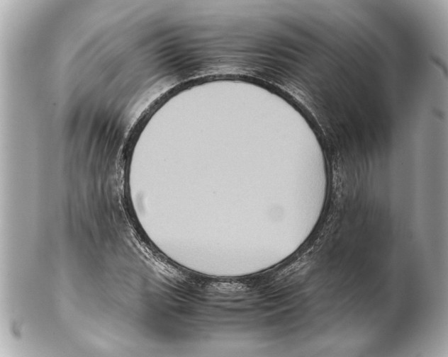 X0000102011119200808151245