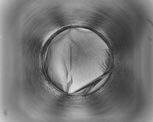 X0000102011120200808151245