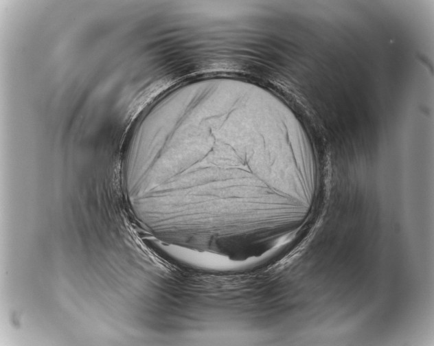 X0000102011121200808151245