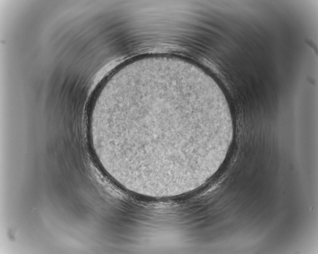 X0000102011122200808151245