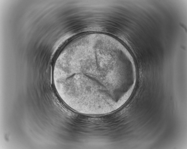 X0000102011123200808151245