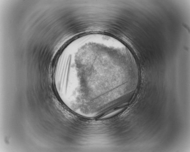 X0000102011124200808151245