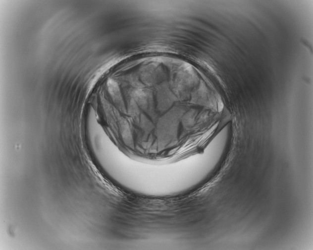 X0000102011125200808151245