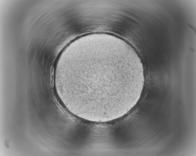 X0000102011126200808151245