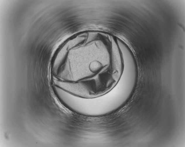 X0000102011128200808151245