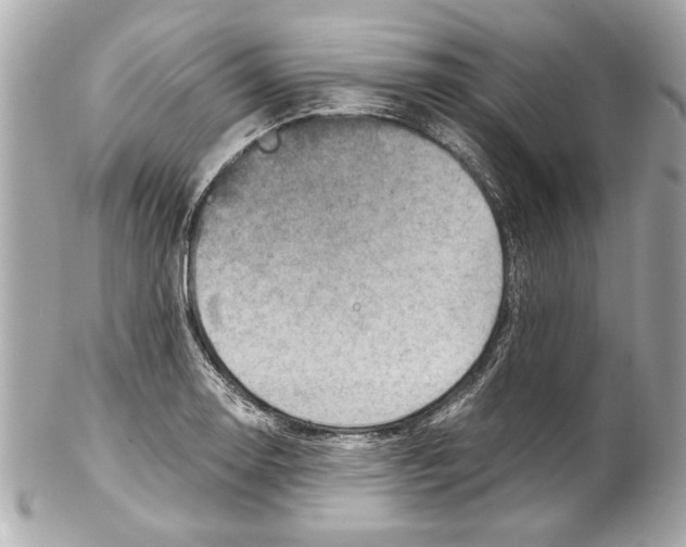 X0000102011130200808151245