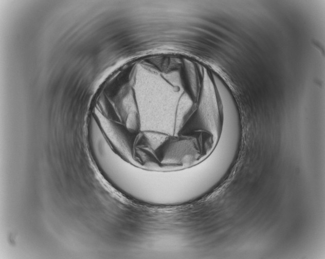 X0000102011134200808151245