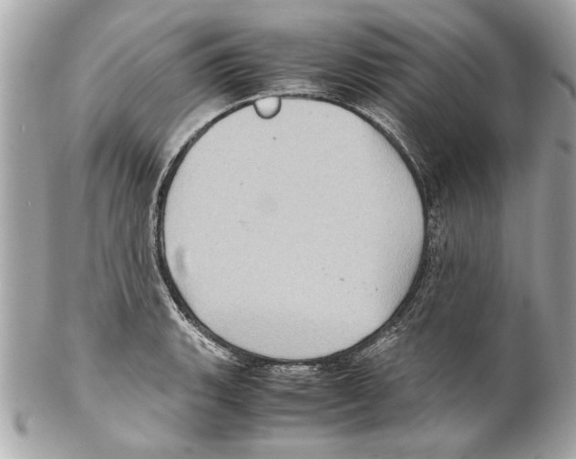 X0000102011135200808151245