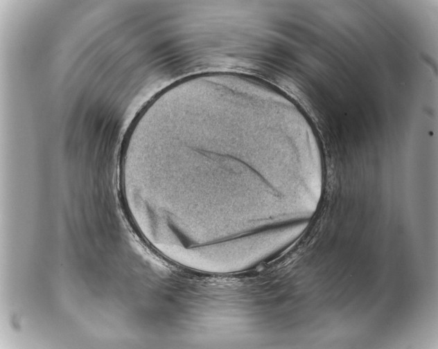 X0000102011136200808151245