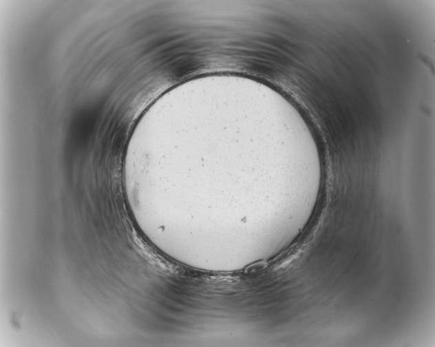 X0000102011137200808151245