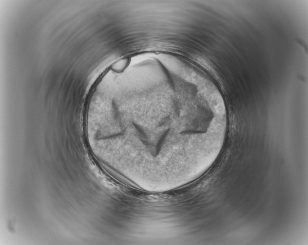 X0000102011138200808151245